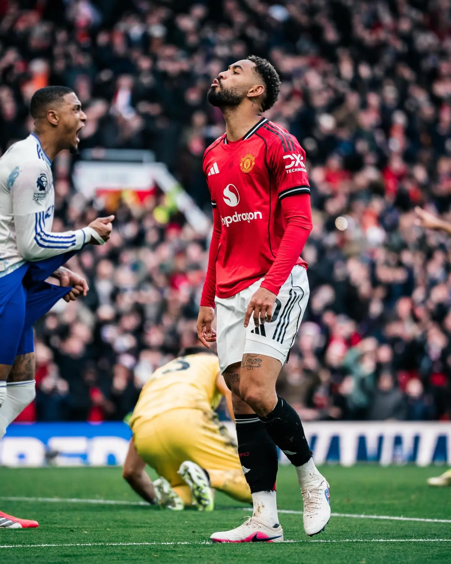 打入一球，库尼亚赛后社媒：酷毙了，美丽的周日